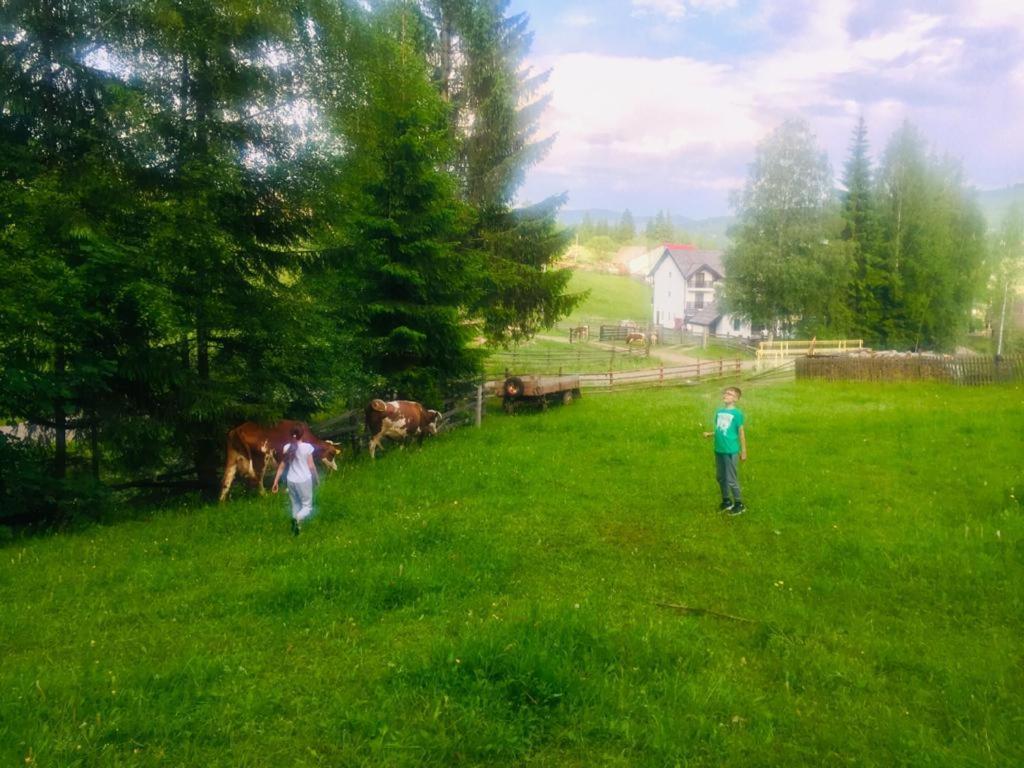 Pensiunea Cassandra Vatra Dornei Exterior foto